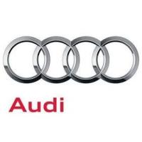 AUDI A3 A4 TCNG (gaz ziemny, metan)